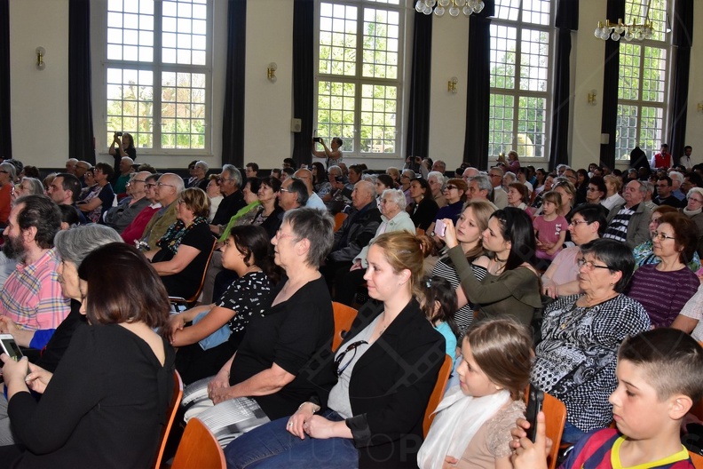 LUS 0031
