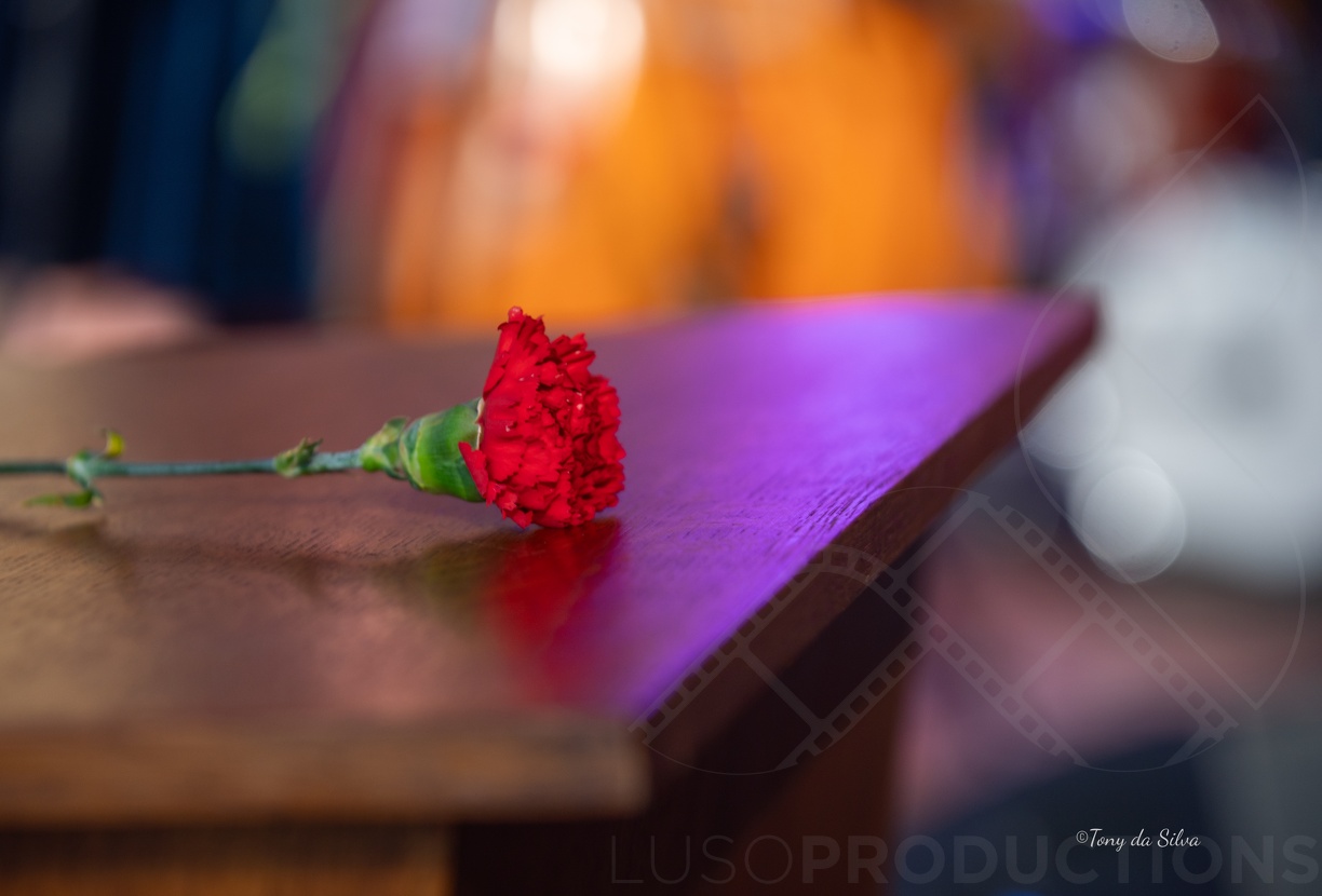 Luso 2024-739