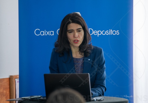 Luso 2024-1656 (540 visits) Luso 2024-1656