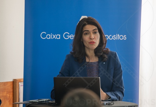 Luso 2024-1657 (570 visits) Luso 2024-1657