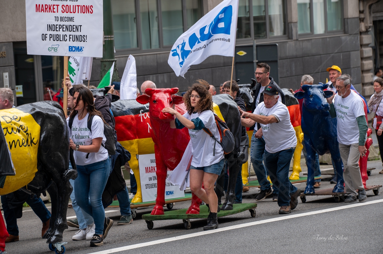 Luso 2024-2087